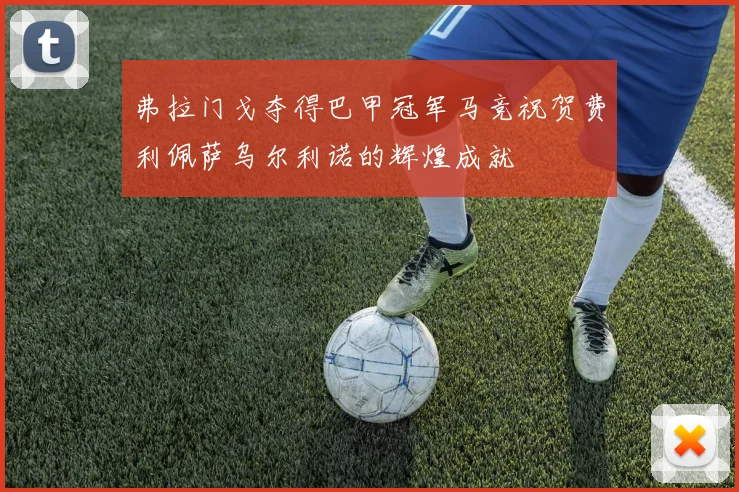 弗拉门戈夺得巴甲冠军马竞祝贺费利佩萨乌尔利诺的辉煌成就