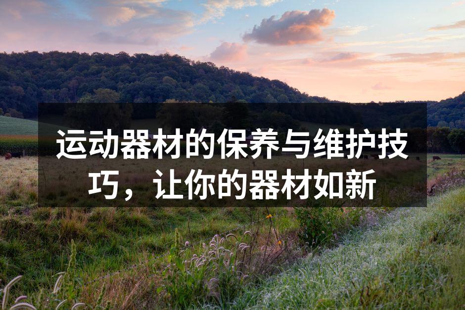 运动器材的保养与维护技巧，让你的器材如新