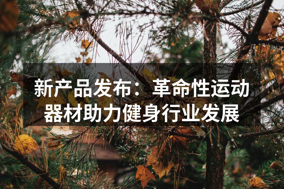 新产品发布：革命性运动器材助力健身行业发展